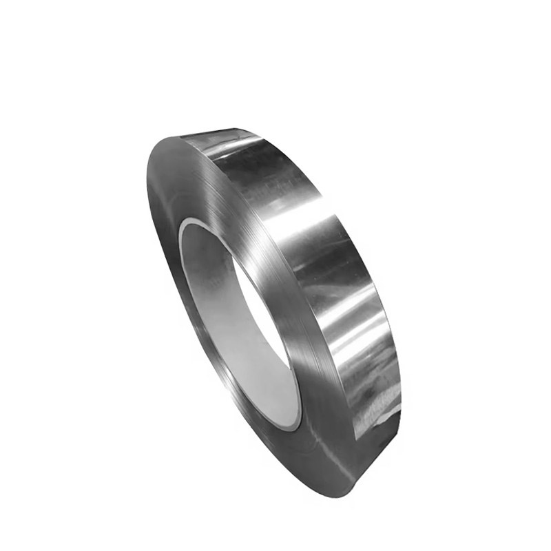 Stainless Steel Strip