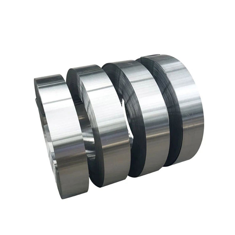 Stainless Steel Strip