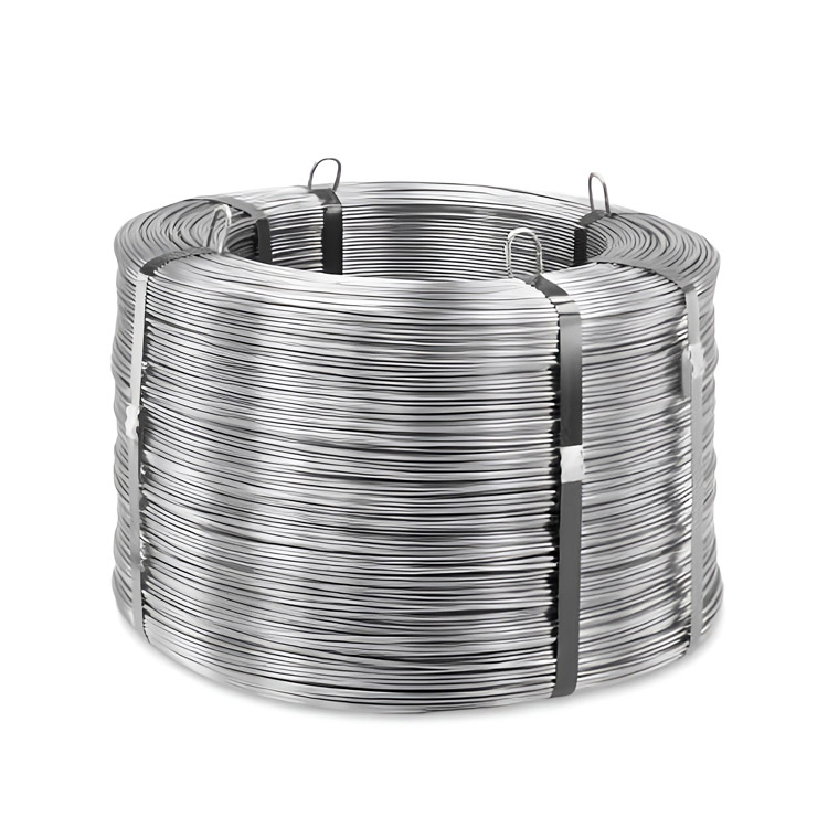 Stainless Steel Wire