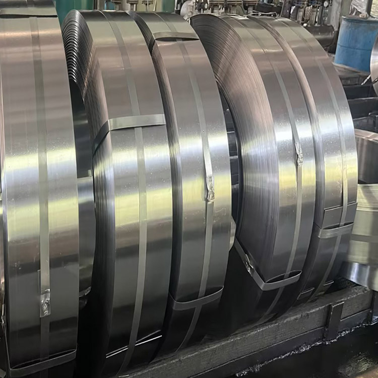 Stainless Steel Strip