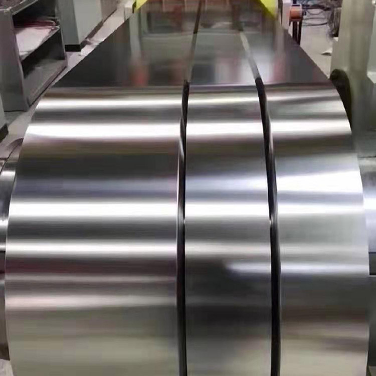 Stainless Steel Strip